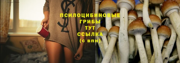индика Тихорецк
