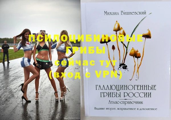 гидропоника Абдулино